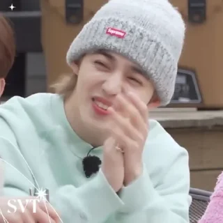 🍱 emoji @STIKERSVT : SEVENTEEN Chapter7:teen Telegram sticker 8 of 111