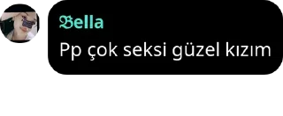 🧏‍♀️ emoji GÖLGE HAREMİLERİ #FREE pack by @QuotLyBot Telegram sticker 18 of 120