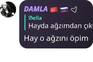 👬 emoji GÖLGE HAREMİLERİ #FREE pack by @QuotLyBot Telegram sticker 16 of 120