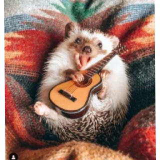 🎸 emoji Hamster cami Telegram sticker 6 of 53