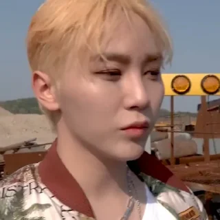 🌵 emoji @STIKERSVT : SEVENTEEN ‘HOT’ M/V BEHIND THE SCENES Telegram sticker 16 of 57