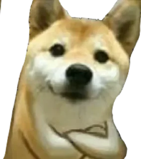 🌟 emoji Si Telegram sticker 1 of 110