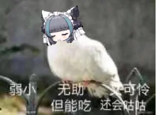 🐦 emoji @Caria9 私藏（6） Telegram sticker 5 of 48