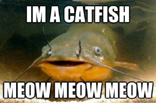 😸 emoji Lake Quantrill Telegram sticker 13 of 60