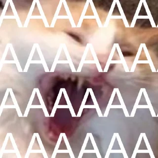 😨 emoji gatitomood Telegram sticker 8 of 72