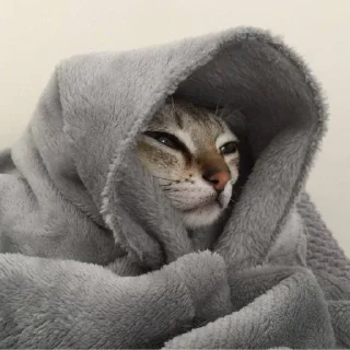Sticker from gatitomood