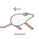 Sticker from Rat Moods