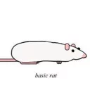 Sticker from Rat Moods