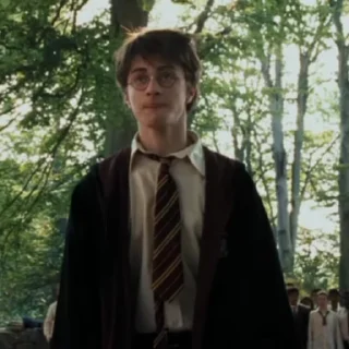 🪄 emoji ャ. Harry Potter ；@Unince . Telegram sticker 9 of 55