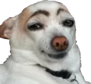 Sticker from Animales2 /edit