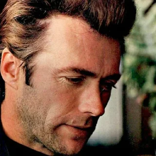 🙁 emoji Clint Eastwood | @Bialy_Wilk Telegram sticker 12 of 120