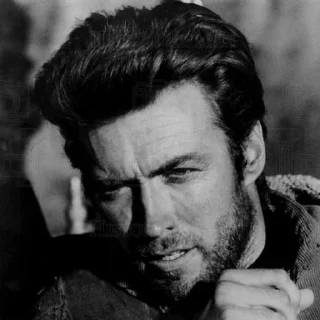 😕 emoji Clint Eastwood | @Bialy_Wilk Telegram sticker 10 of 120