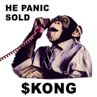 Sticker from $KONG