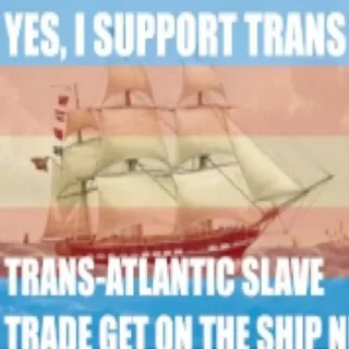 Sticker from Trans rights