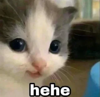 😼 emoji biz moments Telegram sticker 2 of 108
