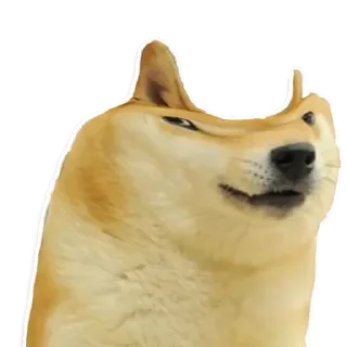 Sticker from retard