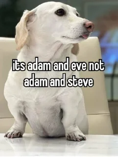 Sticker from homophobic dog
