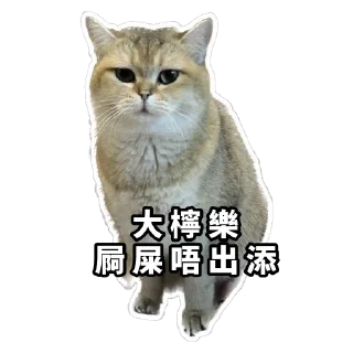 Sticker from Meow3
