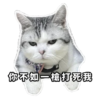 Sticker from Meow3