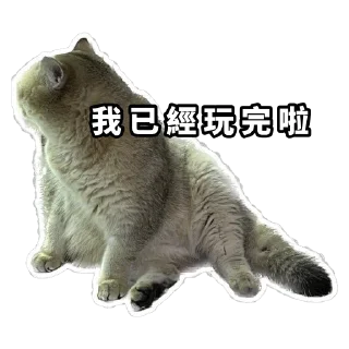 Sticker from Meow3