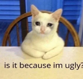 Sticker from Wholesome majo