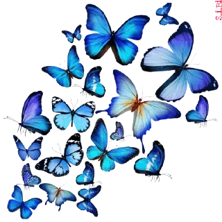 🦋 emoji Graphics pack @sticker_pack_channel — @stckrRobot Telegram sticker 12 of 76