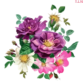 💐 emoji Graphics pack @sticker_pack_channel — @stckrRobot Telegram sticker 7 of 76