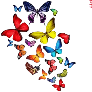 Sticker from Graphics pack @sticker_pack_channel — @stckrRobot