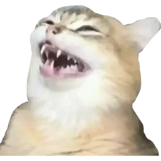 😂 emoji ✨ĶÝM♡✨ exclusive pack 1 Telegram sticker 20 of 118