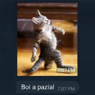 🐱 emoji ✨ĶÝM♡✨ exclusive pack 1 Telegram sticker 22 of 118