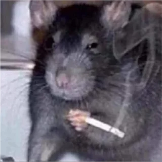 🚬 emoji ✨ĶÝM♡✨ exclusive pack 1 Telegram sticker 24 of 118