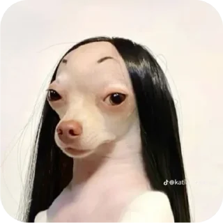 Sticker from Dogs