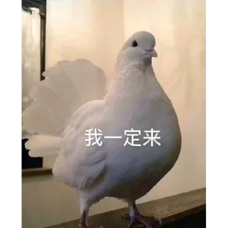 Sticker from 杂图2