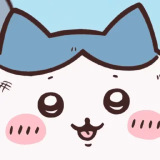 Sticker from Chiikawa 吉伊卡哇 (1) @kal_pc