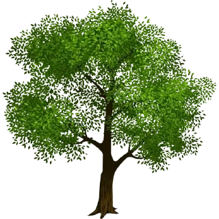 Sticker from Paulinha @NATUREZAAFLORADA 🌿🍂🍃🍁
