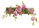 Sticker from 🍃🌸Flores By Elaine🌸🍃