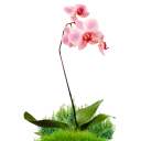 Sticker from 🍃🌸Flores By Elaine🌸🍃