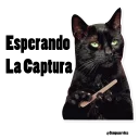 😕 emoji Quiero Captura Telegram sticker 9 of 46