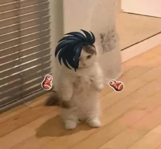 Sticker from ✎ ִֶָ ᴄᴀ֟፝ᴛs ᴇᴅ֟፝ɪᴛs ⚘ﻬ  @stickersdaManu ²