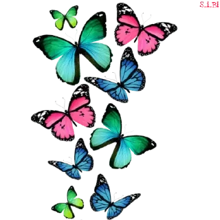 Sticker from Graphics pack @sticker_pack_channel — @stckrRobot