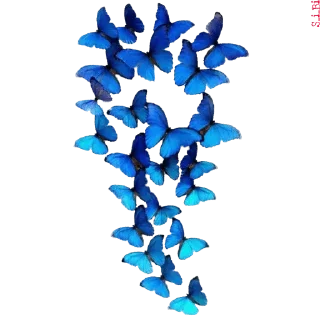 🦋 emoji Graphics pack @sticker_pack_channel — @stckrRobot Telegram sticker 15 of 76