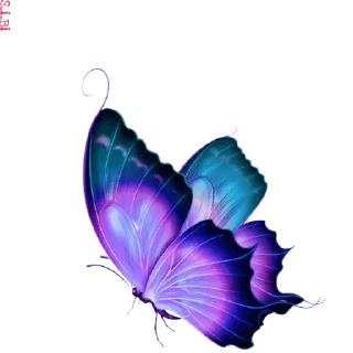 🦋 emoji Graphics pack @sticker_pack_channel — @stckrRobot Telegram sticker 20 of 76