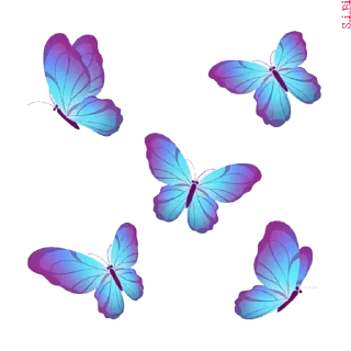 🦋 emoji Graphics pack @sticker_pack_channel — @stckrRobot Telegram sticker 10 of 76