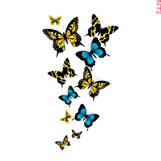 🦋 emoji Graphics pack @sticker_pack_channel — @stckrRobot Telegram sticker 8 of 76