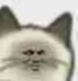 😏 emoji 沃龙の贴纸包@wolong0901 Telegram sticker 2 of 110