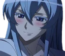Sticker from esdeath