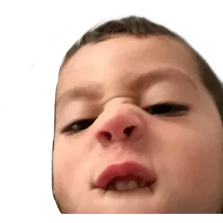 😏 emoji Diego Steal Pack 1 Telegram sticker 8 of 96