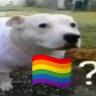Sticker from 🏳️‍🌈?
