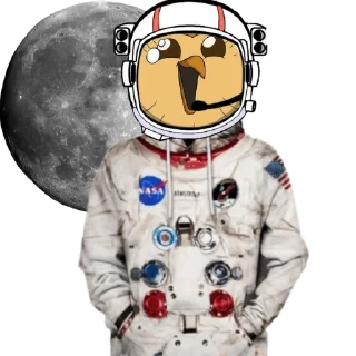 Sticker from $OWL