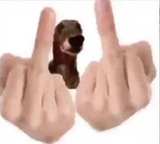 🖕 emoji @memoriaspostumas's SmudgeLord Telegram sticker 20 of 76